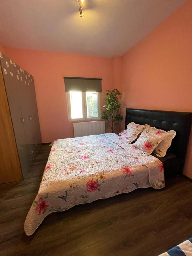 Right Choice Room Antuérpia Exterior foto